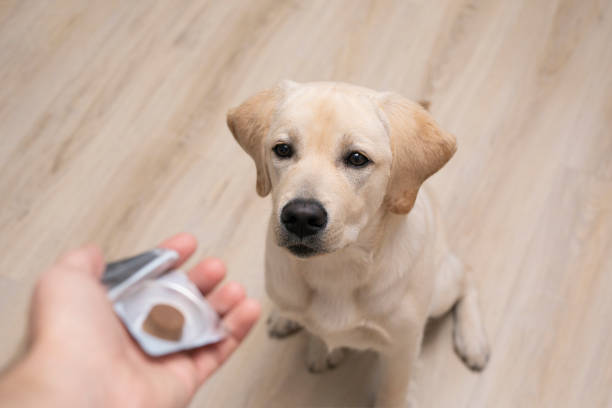 Veterinaria · Farmacia Lili Álvarez, Valdemoro